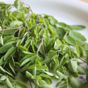 moringa, green, healthy, leafy vegetables, vegetable, fresh, nutrition, moringa leaves, green vegetables, green healthy, green nutrition, moringa, moringa, moringa, moringa, moringa