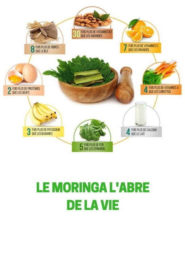 MORINGA – Image 6